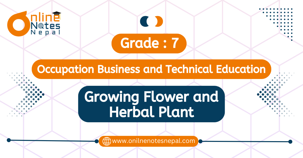 Growing Flower and Herbal Plant